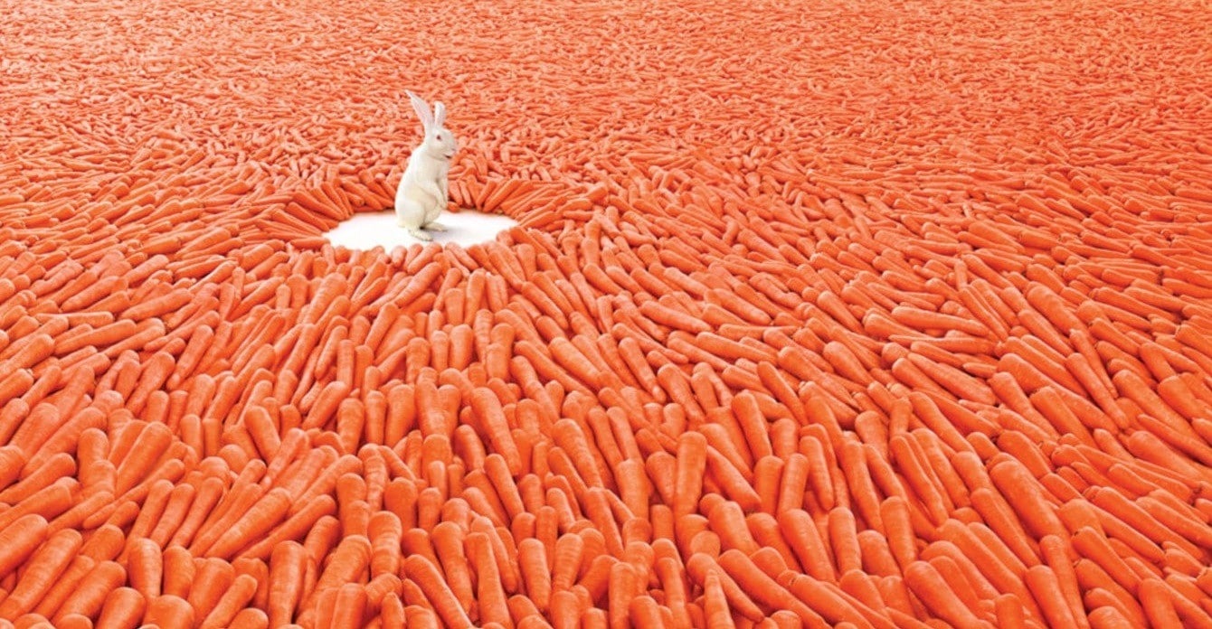 Enquete Sur Les Vrais Et Les Faux Espoirs De L Innovation